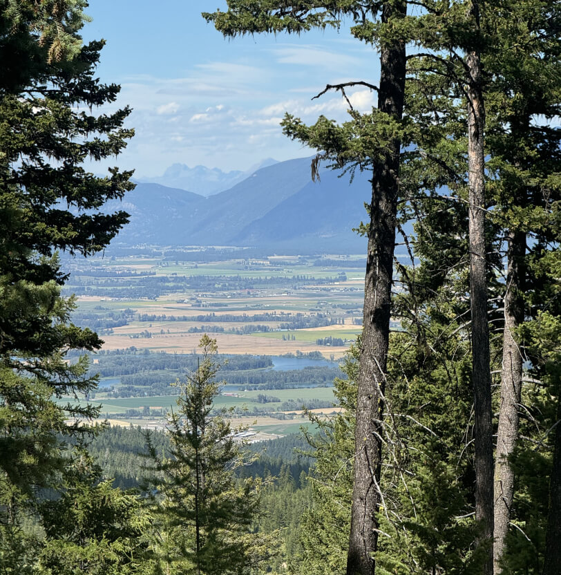 Land Investment Opportunities